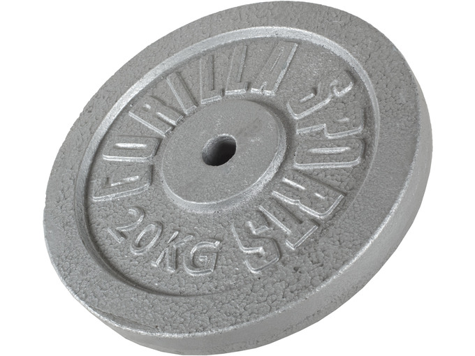 GORILLA SPORTS Teg od livenog gvožđa (20 kg / Srebrni)